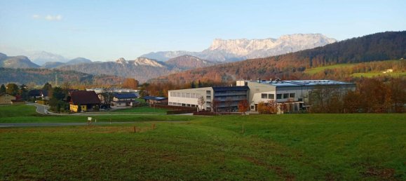 Grundstück in Adnet, Austria, Nr. 131634 2