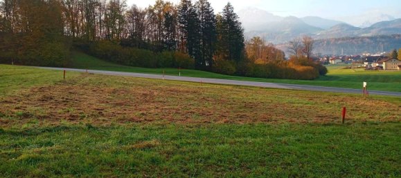 Grundstück in Adnet, Austria, Nr. 131634 3