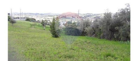 3 Schlafzimmer Haus in Alcobaca, Portugal, Nr. 24774 8