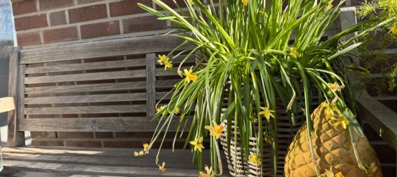 Casa de 4 dormitorios en Viersen, Germany No. 108251 29