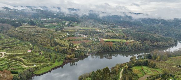 2 bedrooms House in Amarante, Portugal No. 30244 16