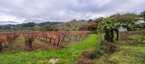 2 bedrooms House in Amarante, Portugal No. 30244 13