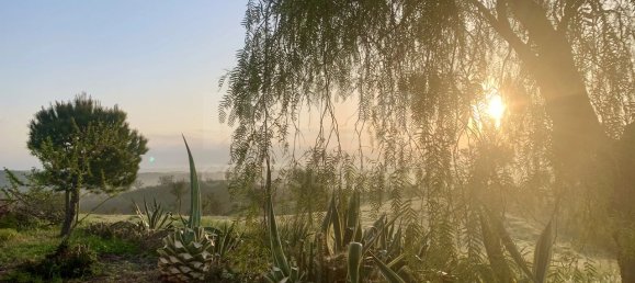 9 Schlafzimmer Grundstück in Santiago do Cacem, Portugal, Nr. 95241 24