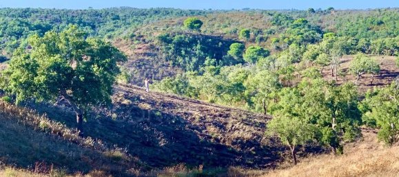9 Schlafzimmer Grundstück in Santiago do Cacem, Portugal, Nr. 95241 32