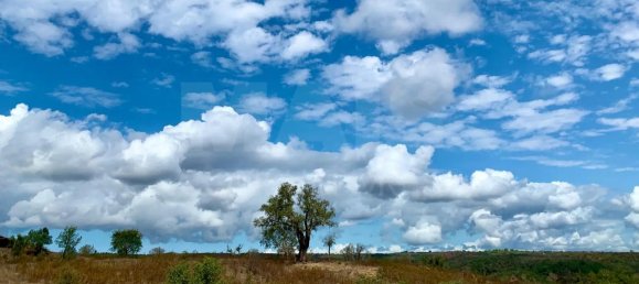 9 Schlafzimmer Grundstück in Santiago do Cacem, Portugal, Nr. 95241 7