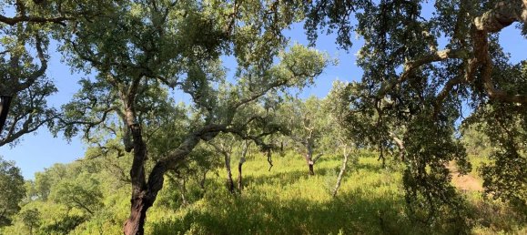 9 Schlafzimmer Grundstück in Santiago do Cacem, Portugal, Nr. 95241 39