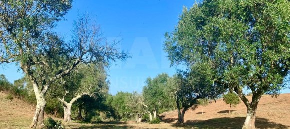 9 Schlafzimmer Grundstück in Santiago do Cacem, Portugal, Nr. 95241 12