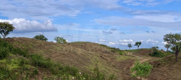 9 Schlafzimmer Grundstück in Santiago do Cacem, Portugal, Nr. 95241 26