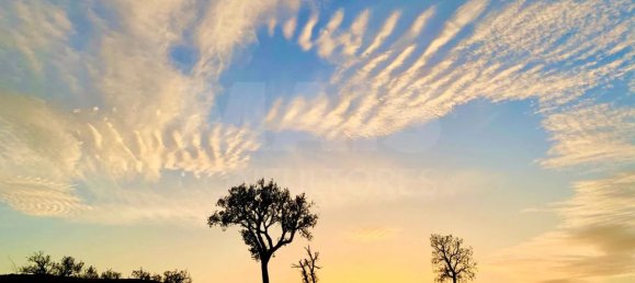 9 Schlafzimmer Grundstück in Santiago do Cacem, Portugal, Nr. 95241 44