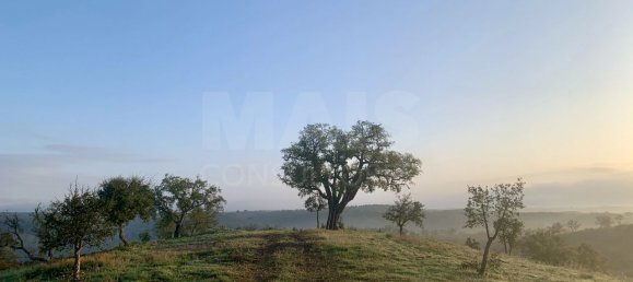 9 Schlafzimmer Grundstück in Santiago do Cacem, Portugal, Nr. 95241 22