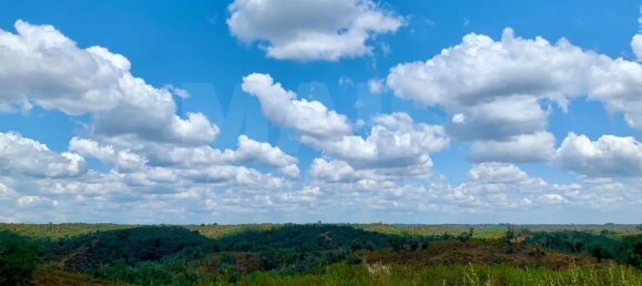 9 Schlafzimmer Grundstück in Santiago do Cacem, Portugal, Nr. 95241 8