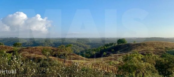 9 Schlafzimmer Grundstück in Santiago do Cacem, Portugal, Nr. 95241 3