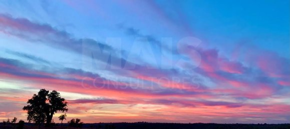 9 Schlafzimmer Grundstück in Santiago do Cacem, Portugal, Nr. 95241 17