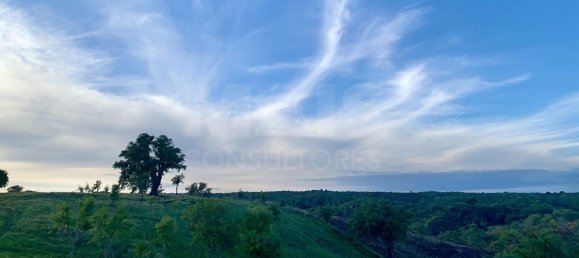 9 Schlafzimmer Grundstück in Santiago do Cacem, Portugal, Nr. 95241 15