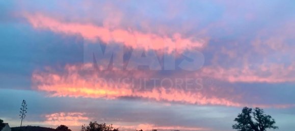 9 Schlafzimmer Grundstück in Santiago do Cacem, Portugal, Nr. 95241 18