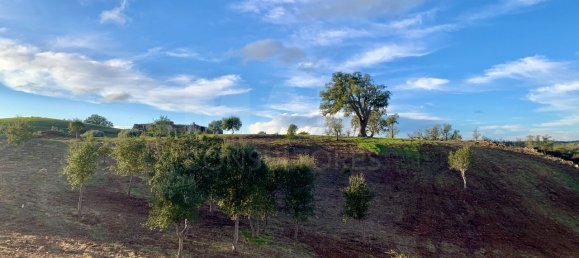 9 Schlafzimmer Grundstück in Santiago do Cacem, Portugal, Nr. 95241 16