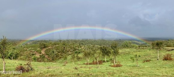 9 Schlafzimmer Grundstück in Santiago do Cacem, Portugal, Nr. 95241 25
