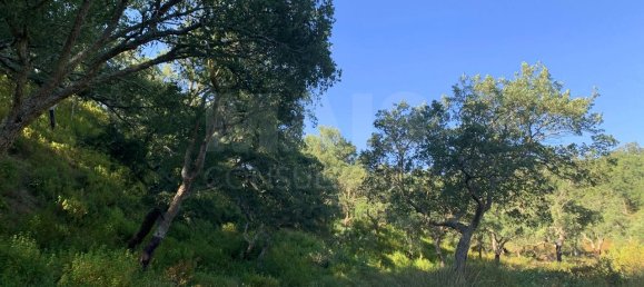 9 Schlafzimmer Grundstück in Santiago do Cacem, Portugal, Nr. 95241 40