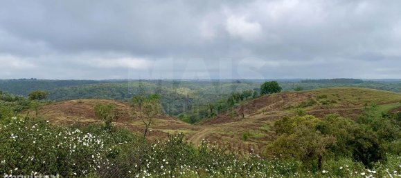 9 Schlafzimmer Grundstück in Santiago do Cacem, Portugal, Nr. 95241 27