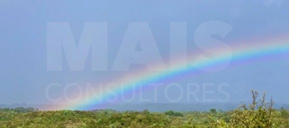 9 Schlafzimmer Grundstück in Santiago do Cacem, Portugal, Nr. 95241 50