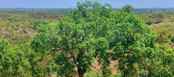 9 Schlafzimmer Grundstück in Santiago do Cacem, Portugal, Nr. 95241 33
