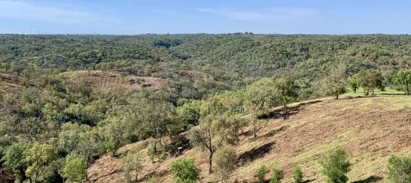 9 Schlafzimmer Grundstück in Santiago do Cacem, Portugal, Nr. 95241 29