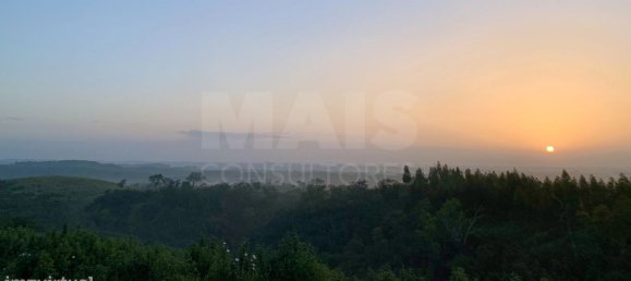 9 Schlafzimmer Grundstück in Santiago do Cacem, Portugal, Nr. 95241 21