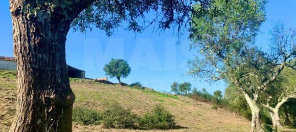 9 Schlafzimmer Grundstück in Santiago do Cacem, Portugal, Nr. 95241 13