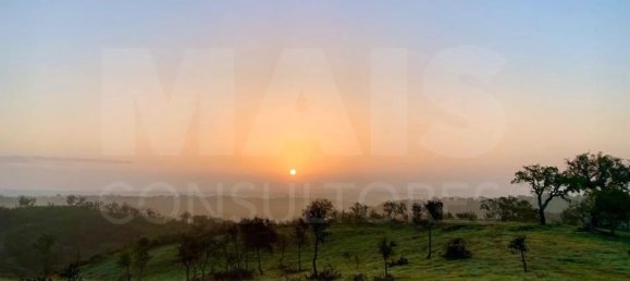 9 Schlafzimmer Grundstück in Santiago do Cacem, Portugal, Nr. 95241 20