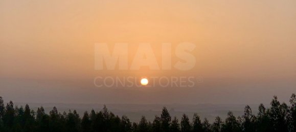 9 Schlafzimmer Grundstück in Santiago do Cacem, Portugal, Nr. 95241 23