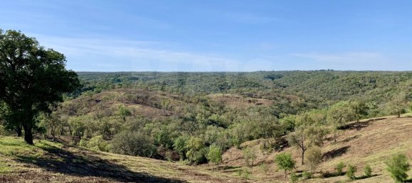 9 Schlafzimmer Grundstück in Santiago do Cacem, Portugal, Nr. 95241 28