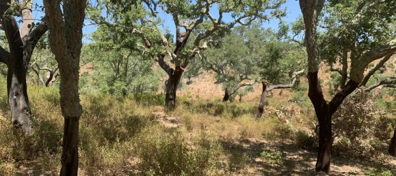 9 Schlafzimmer Grundstück in Santiago do Cacem, Portugal, Nr. 95241 46
