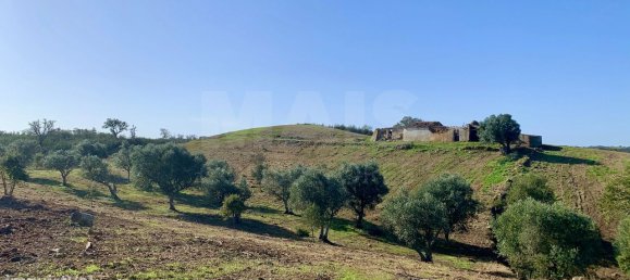 9 Schlafzimmer Grundstück in Santiago do Cacem, Portugal, Nr. 95241 10