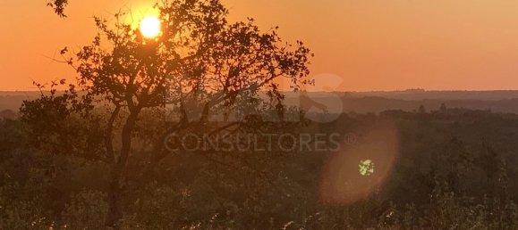 9 Schlafzimmer Grundstück in Santiago do Cacem, Portugal, Nr. 95241 2