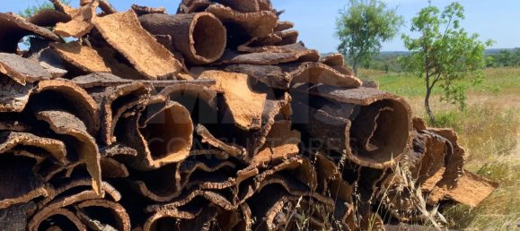 9 Schlafzimmer Grundstück in Santiago do Cacem, Portugal, Nr. 95241 35