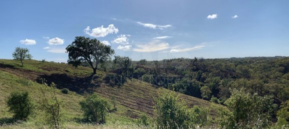 9 Schlafzimmer Grundstück in Santiago do Cacem, Portugal, Nr. 95241 31