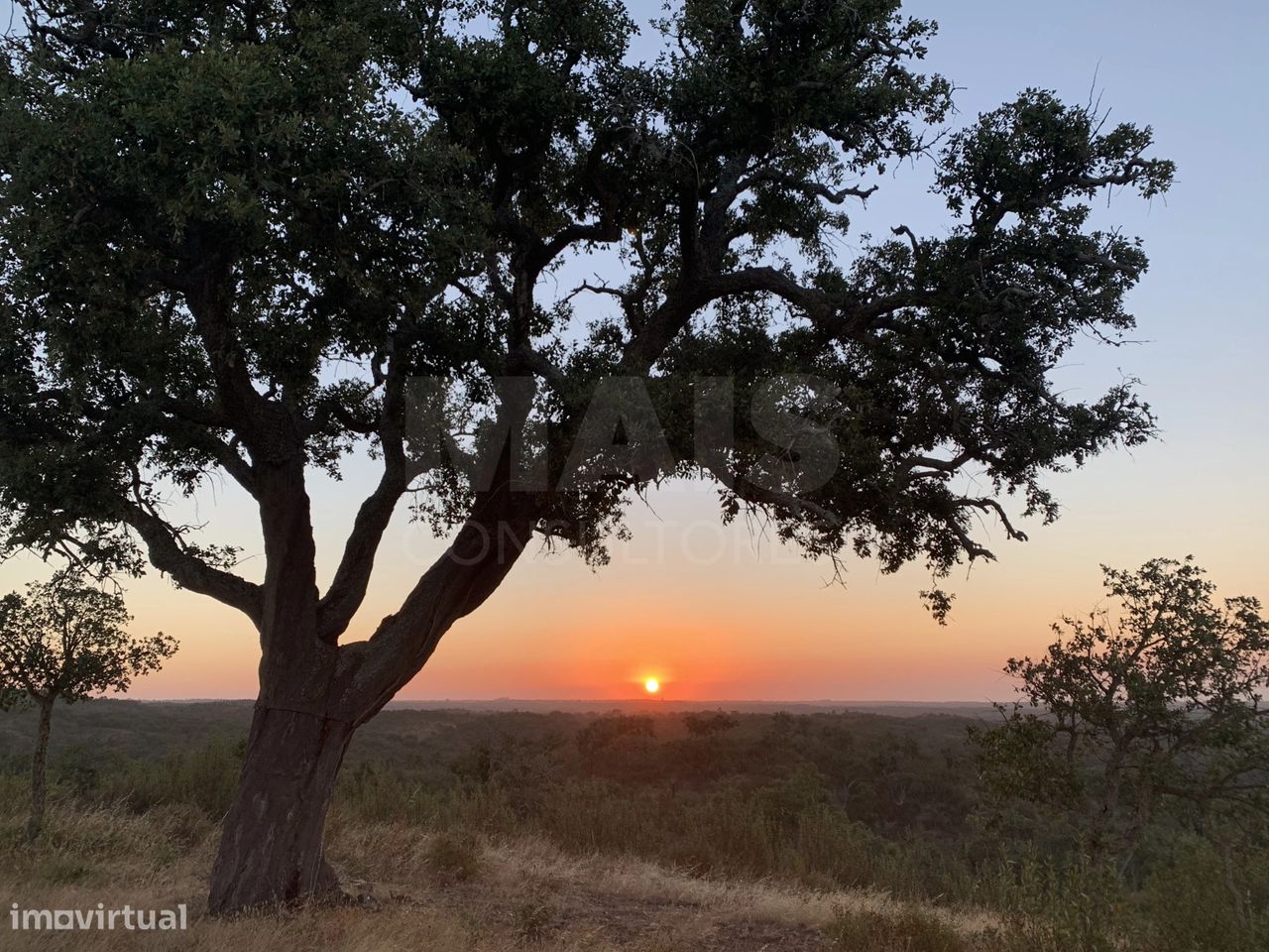 9 Schlafzimmer Grundstück in Santiago do Cacem, Portugal, Nr. 95241