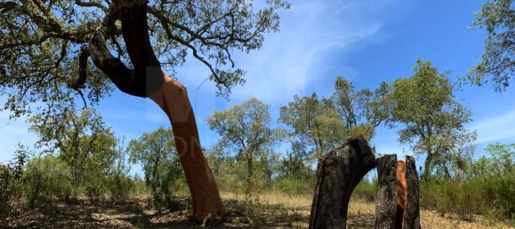 9 Schlafzimmer Grundstück in Santiago do Cacem, Portugal, Nr. 95241 34