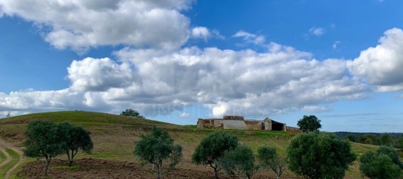 9 Schlafzimmer Grundstück in Santiago do Cacem, Portugal, Nr. 95241 9