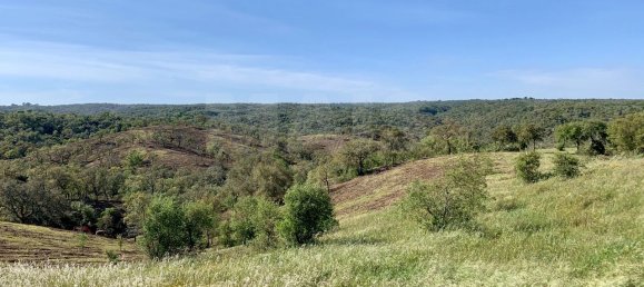 9 Schlafzimmer Grundstück in Santiago do Cacem, Portugal, Nr. 95241 30