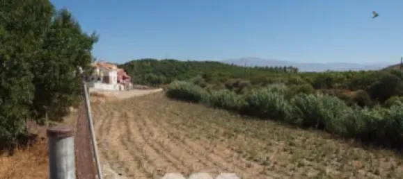 Дом с 10 спальнями в Альмайяте, Испания № 58814 16