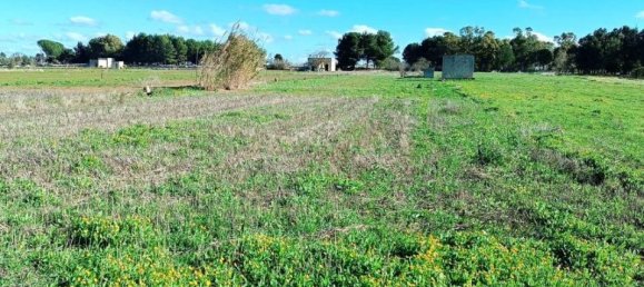 4200m² Land in Tricase, Italy No. 122538 12