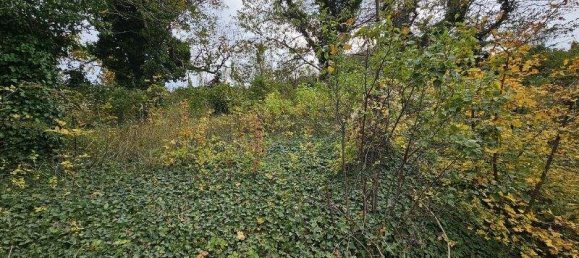 2-Zimmer Haus in Grünbach am Schneeberg, Austria, Nr. 145869 9