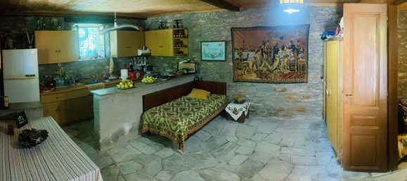 Propriedade comercial T2 em Argalasti, Greece N.º 53764 10