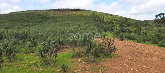 Land in Mexilhoeira Grande, Portugal No. 67654 4