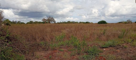  قطعة أرض في Surano, Italy 12600متر مربع رقم 125720 3