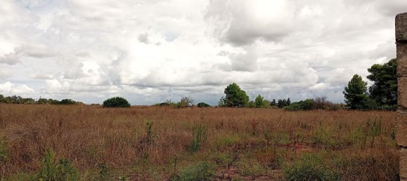  قطعة أرض في Surano, Italy 12600متر مربع رقم 125720 2