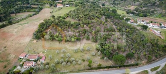 Дом с 6 спальнями в Aljubarrota, Португалия № 141446 6