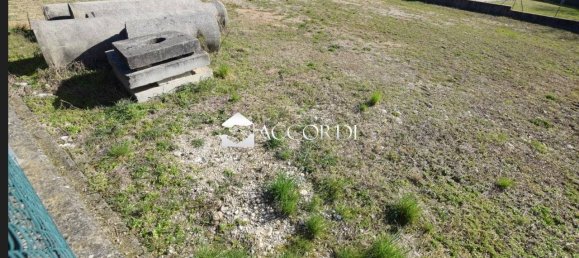 1230m² Land in Nervesa della Battaglia, Italy No. 327772 4