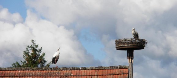 9غرفة تاون هاوس في Luchow-Dannenberg, Germany رقم 293759 42